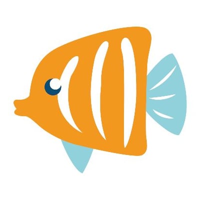 SLB.ANGELFISH